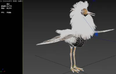 流苏鹬 湿地鸟类3dmax模型