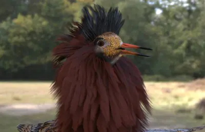 流苏鹬 湿地鸟类3dmax模型