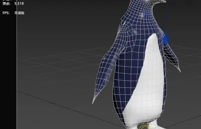 蓝小企鹅 神仙企鹅 世界最小企鹅