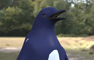 蓝小企鹅 神仙企鹅 世界最小企鹅
