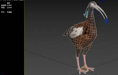 马岛鹮 隐鹮3dmax模型