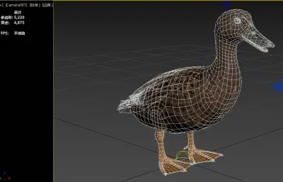 梅勒鸭 马达加斯加黑鸭3dmax模型