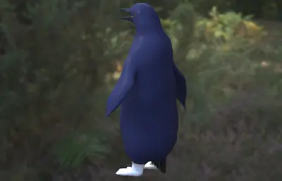 蓝小企鹅 神仙企鹅 世界最小企鹅