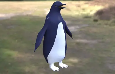 蓝小企鹅 神仙企鹅 世界最小企鹅