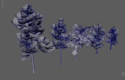 大树树木 绿化树 树木合集