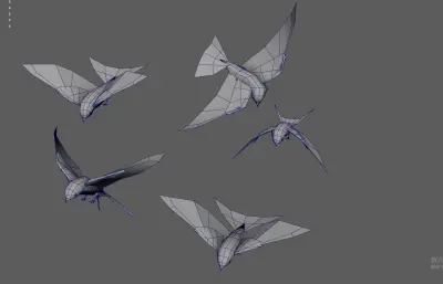 燕子 飞鸟 小鸟