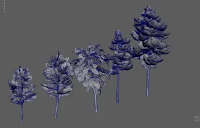 大树树木 绿化树 树木合集