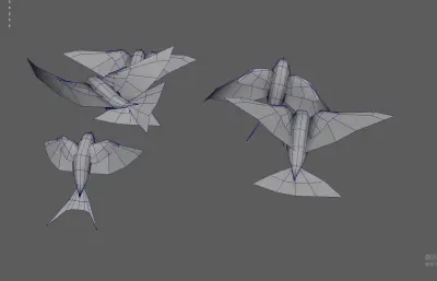 燕子 飞鸟 小鸟