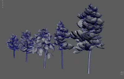 大树树木 绿化树 树木合集