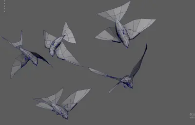 燕子 飞鸟 小鸟