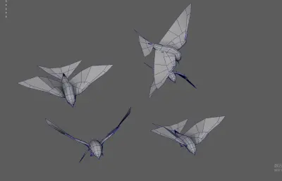 燕子 飞鸟 小鸟