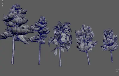 大树树木 绿化树 树木合集