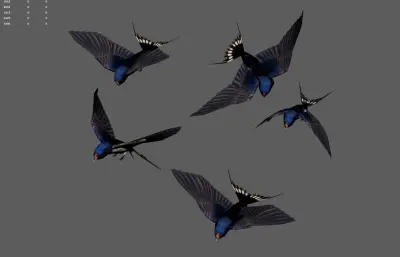 燕子 飞鸟 小鸟