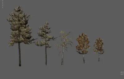 大树树木 绿化树 树木合集