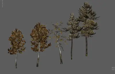 大树树木 绿化树 树木合集