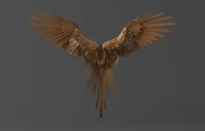 巨鸟翅膀 凤凰翅膀 飞翼