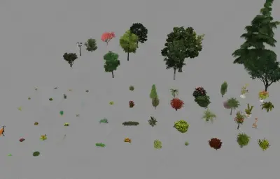 室外植物大全 灌木 鸟瞰树