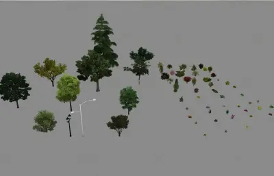 室外植物大全 灌木 鸟瞰树