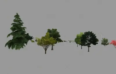 室外植物大全 灌木 鸟瞰树