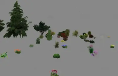 室外植物大全 灌木 鸟瞰树