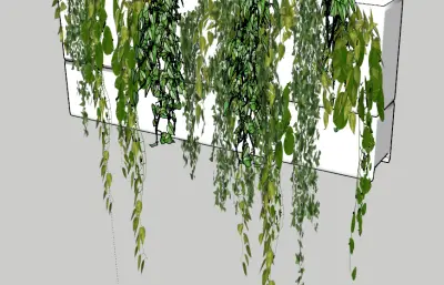 花箱植物sketchup模型