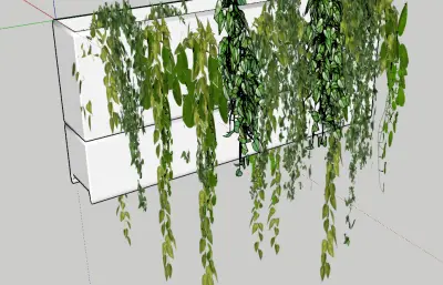 花箱植物sketchup模型