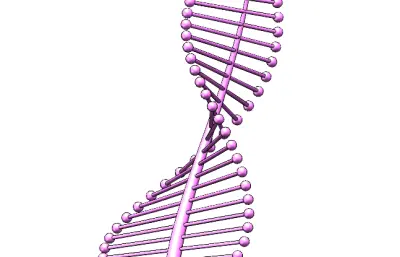 随形变化的树叶