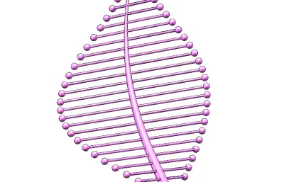 随形变化的树叶