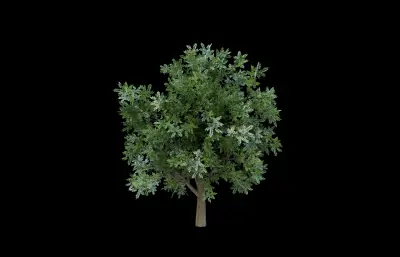 树木植物 绿植大树 绿叶树塌陷模型