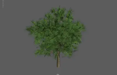 树木植物 绿植大树 绿叶树塌陷模型