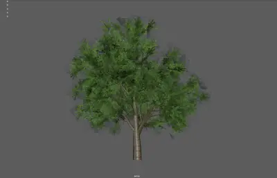树木植物 绿植大树 绿叶树塌陷模型