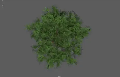 树木植物 绿植大树 绿叶树塌陷模型