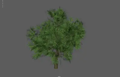 树木植物 绿植大树 绿叶树塌陷模型