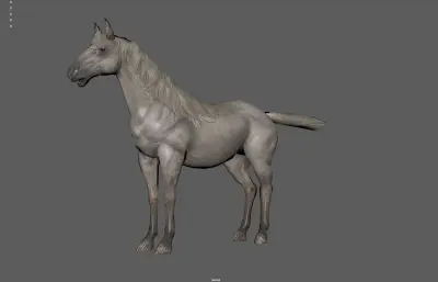 白马 骏马 千里马塌陷模型