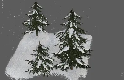 松树林下雪雪景