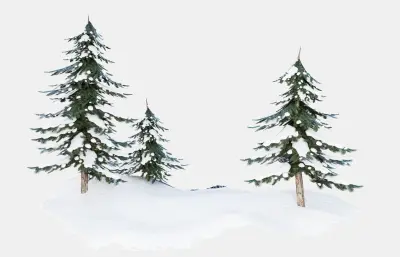 松树林下雪雪景