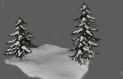 松树林下雪雪景