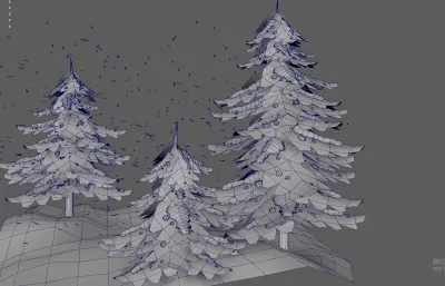 松树林下雪雪景