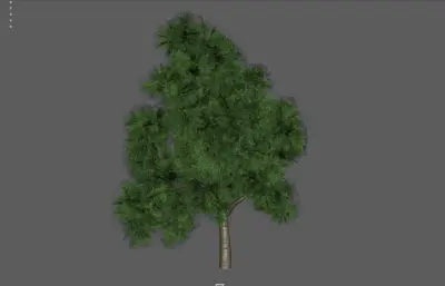 大树 树 植物 绿植树木