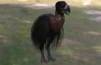 Gastornis即冠恐鸟,加斯顿鸟3dmax模型