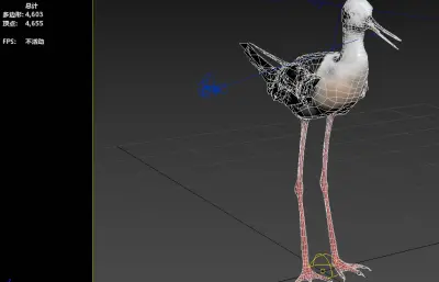 黑颈长脚鹬3dmax模型