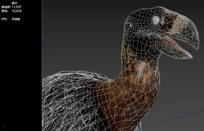 Gastornis即冠恐鸟,加斯顿鸟3dmax模型
