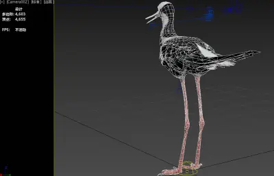 黑颈长脚鹬3dmax模型