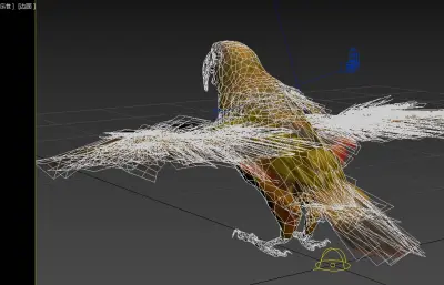 新西兰卡卡鹦鹉,白顶啄羊鹦鹉3dmax模型