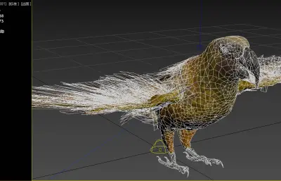 新西兰卡卡鹦鹉,白顶啄羊鹦鹉3dmax模型