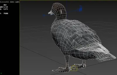新西兰蓝鸭3dmax模型