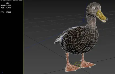 美洲黑鸭新物种动物3dmax模型