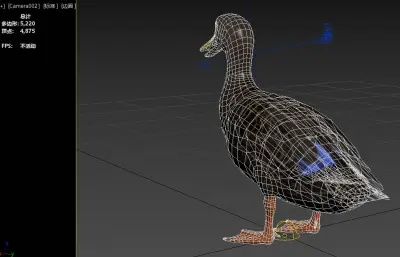 美洲黑鸭新物种动物3dmax模型