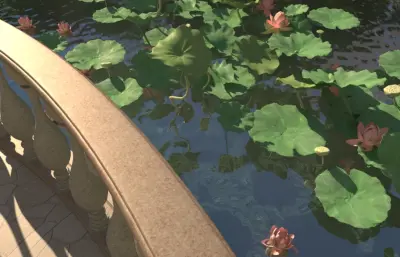 池塘荷花鱼 荷花池小鱼游动 镜头动画