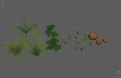 花草 蕨类植物 绿化植物